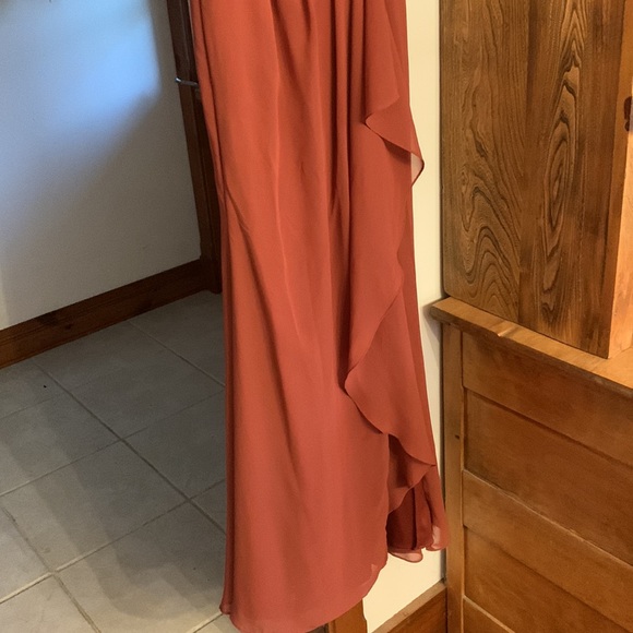 Floor Length David’s Bridal Cinnamon Dress - Picture 4 of 4